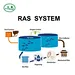 RAS Shrimp Farming Equipment Vannamei Shrimp Farming